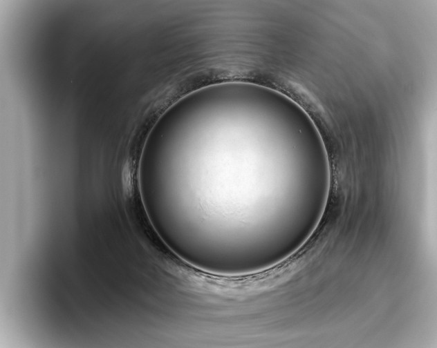 X0000096630026200802051116