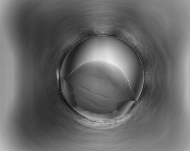 X0000096630027200802051116