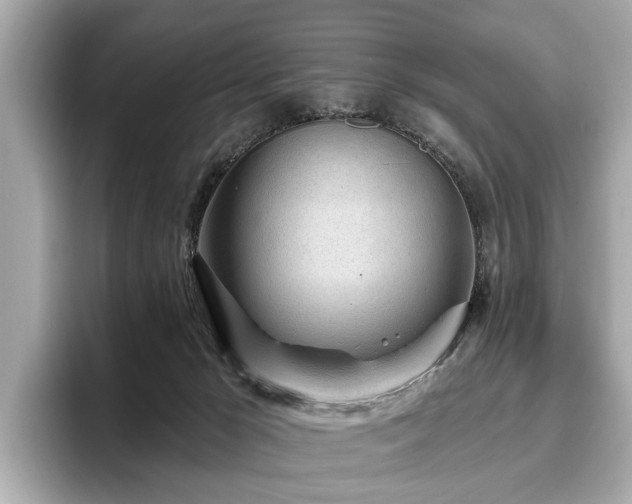 X0000096630029200802051116