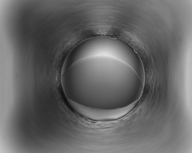 X0000096630031200802051116