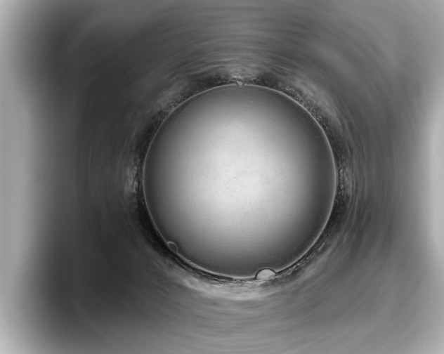 X0000096630032200802051116