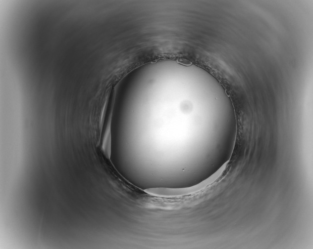X0000096630033200802051116