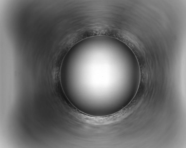 X0000096630034200802051116