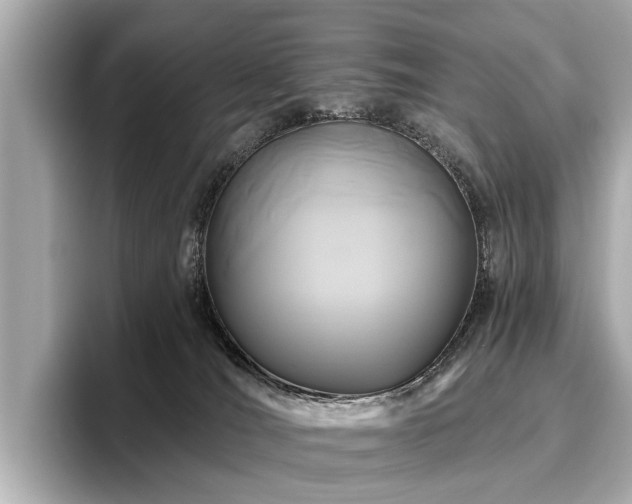 X0000096630036200802051116