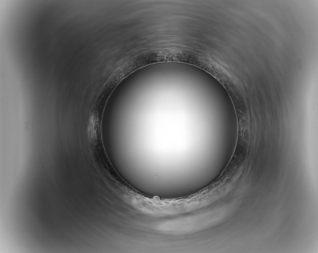 X0000096630038200802051116