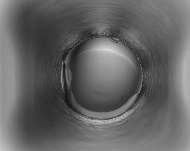 X0000096630039200802051116