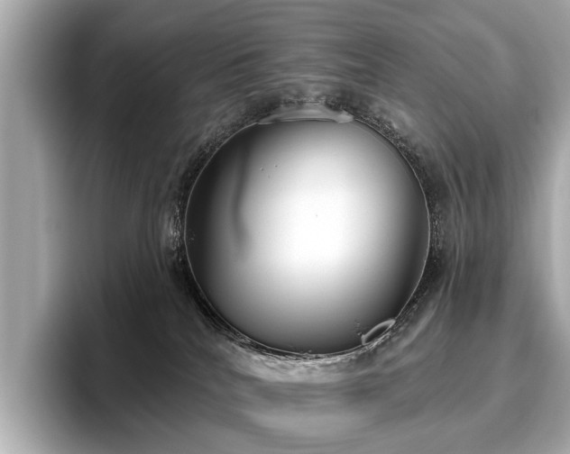 X0000096630040200802051116