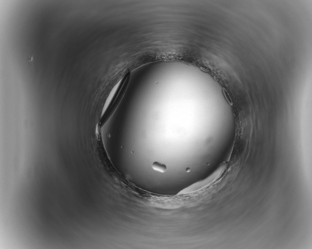 X0000096630041200802051116
