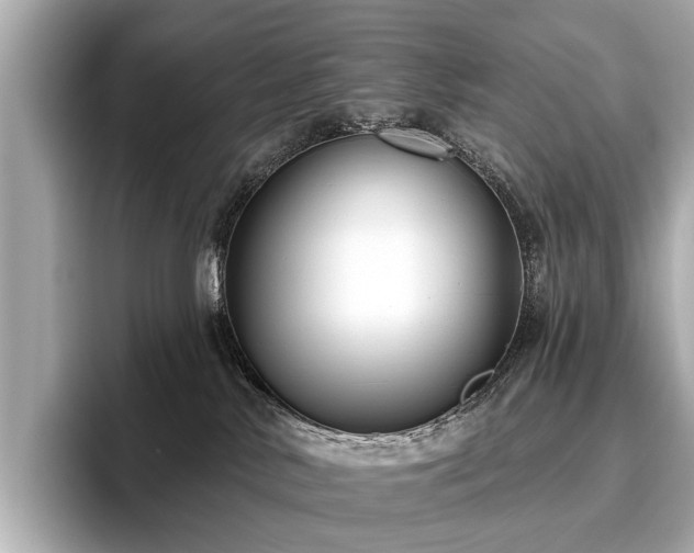 X0000096630042200802051116