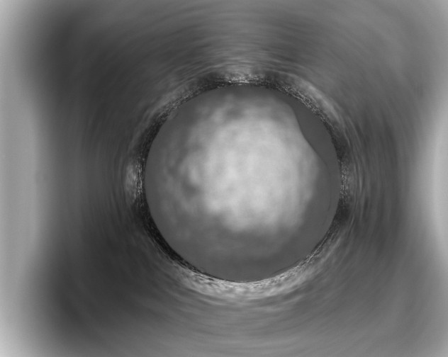 X0000096630043200802051116