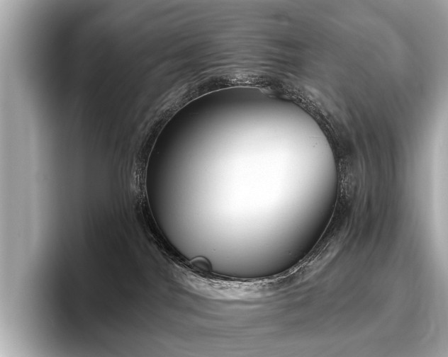 X0000096630044200802051116