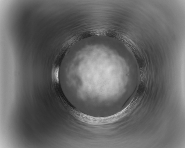 X0000096630047200802051116