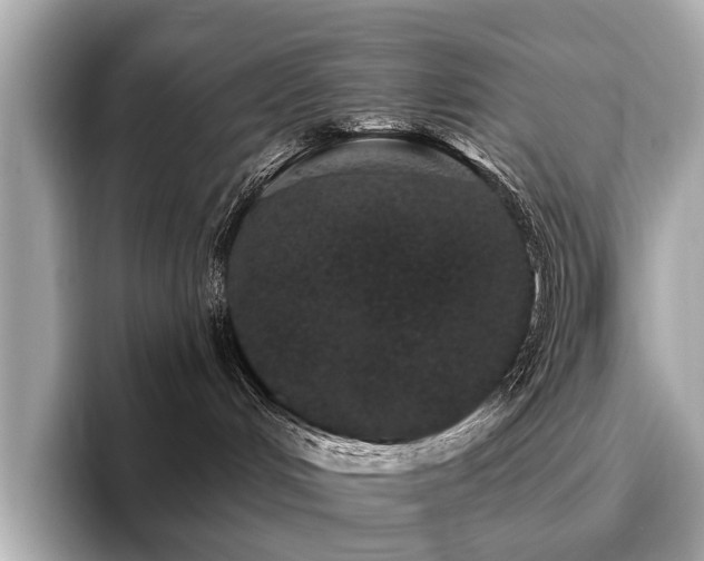 X0000096630048200802051116