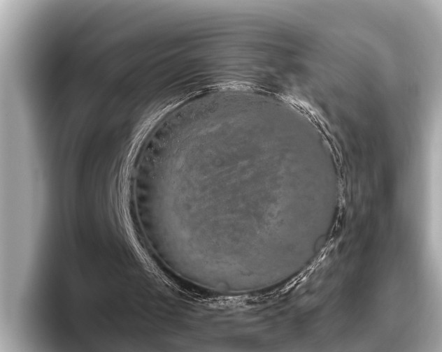X0000096630049200802051115