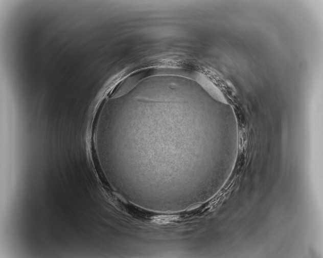 X0000096630051200802051115