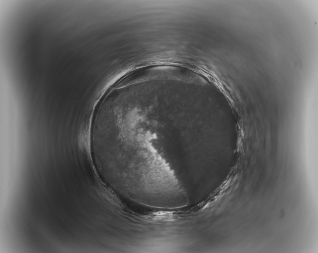 X0000096630052200802051115