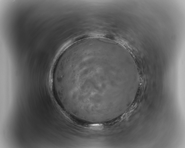 X0000096630053200802051115