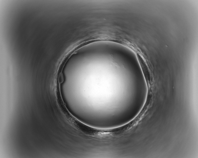 X0000096630055200802051115