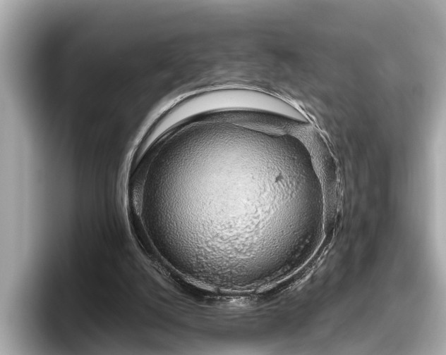 X0000096630056200802051115