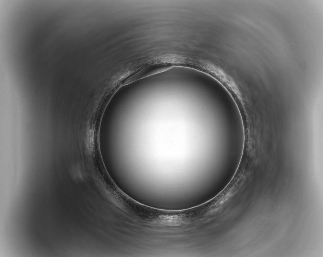 X0000096630057200802051116