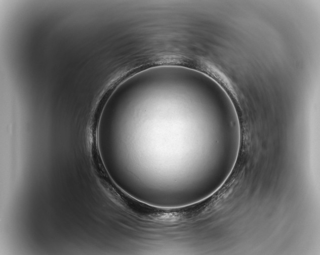 X0000096630059200802051116