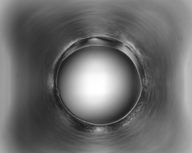 X0000096630060200802051116
