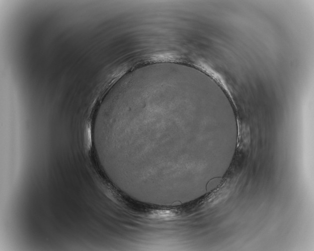 X0000096630061200802051116