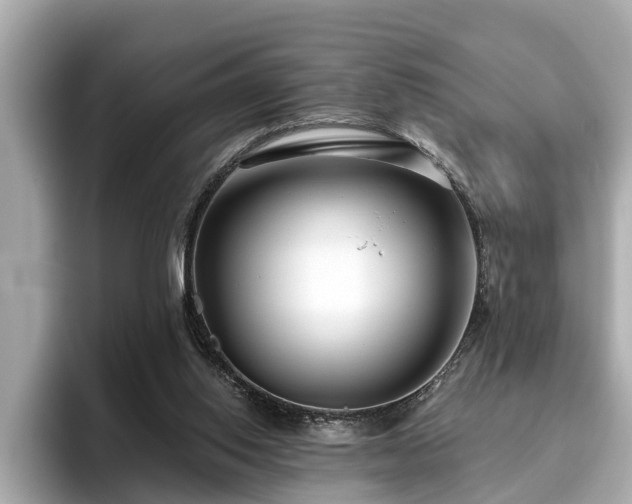 X0000096630062200802051116