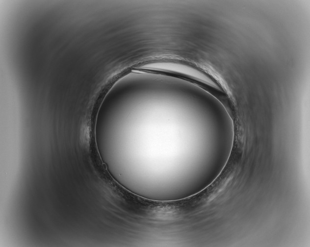 X0000096630063200802051116
