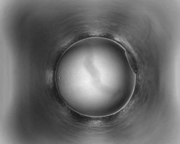 X0000096630066200802051116