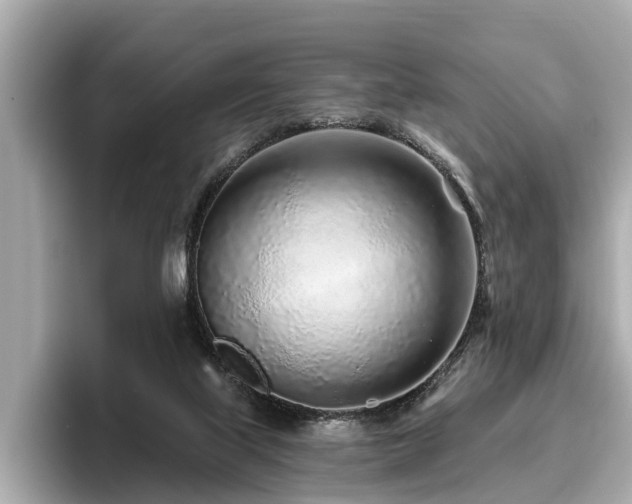 X0000096630067200802051116