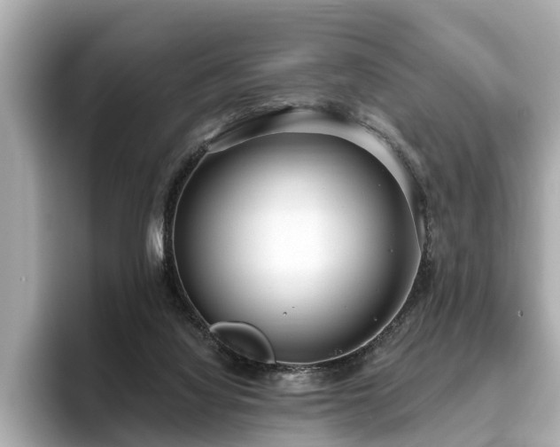 X0000096630068200802051116