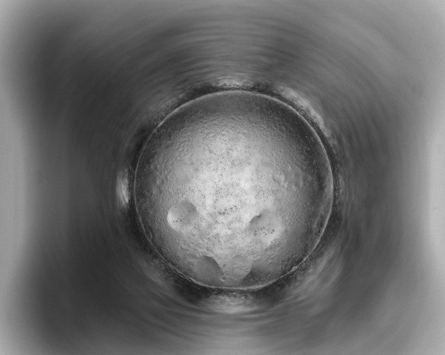 X0000096630069200802051116