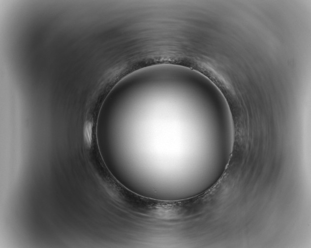 X0000096630070200802051116
