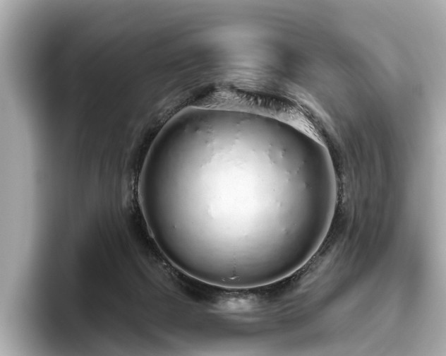 X0000096630073200802051116