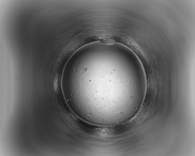 X0000096630074200802051116