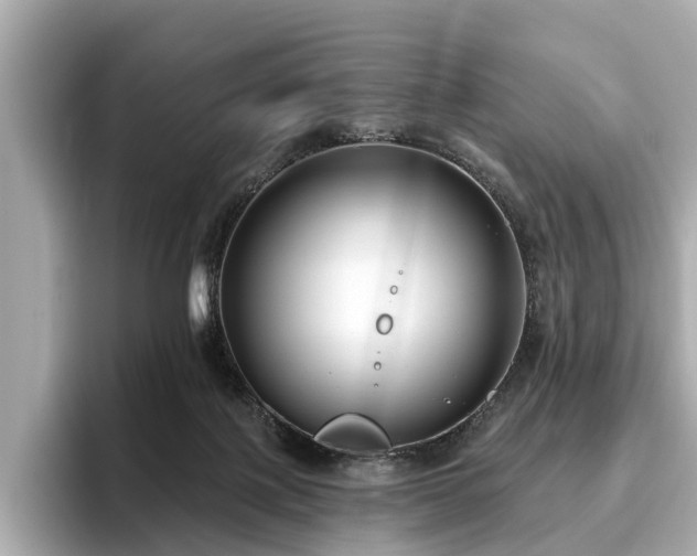 X0000096630075200802051116