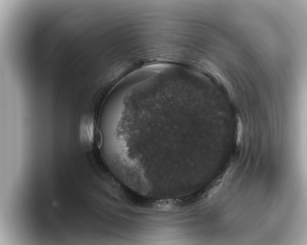 X0000096630076200802051116