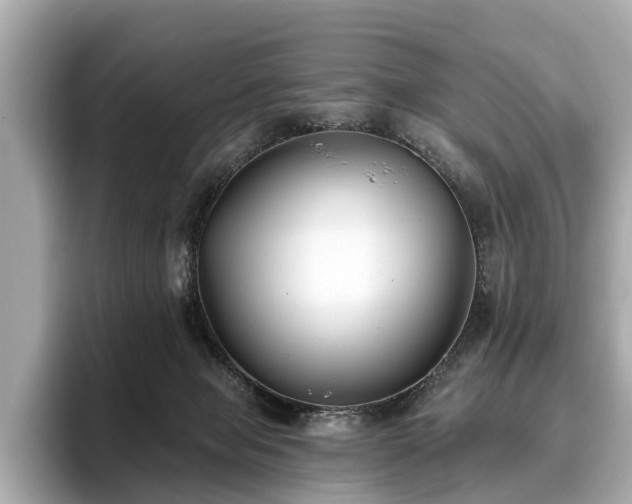 X0000096630077200802051116