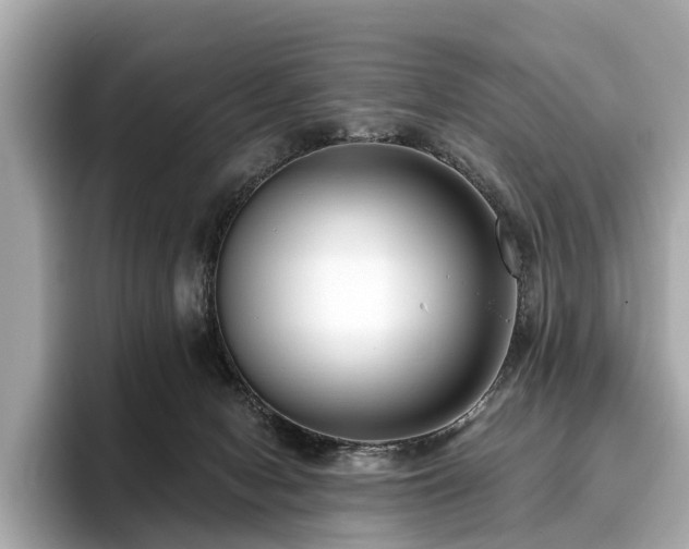 X0000096630078200802051116
