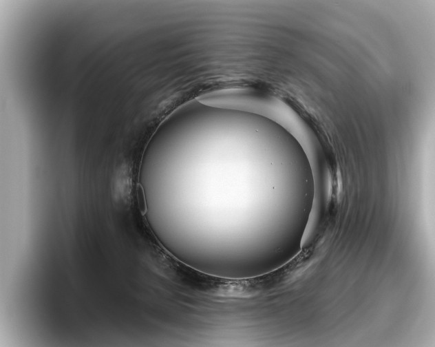 X0000096630080200802051116