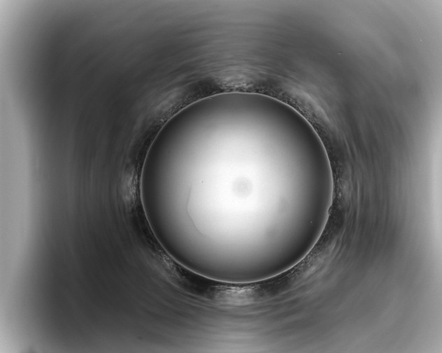 X0000096630081200802051116