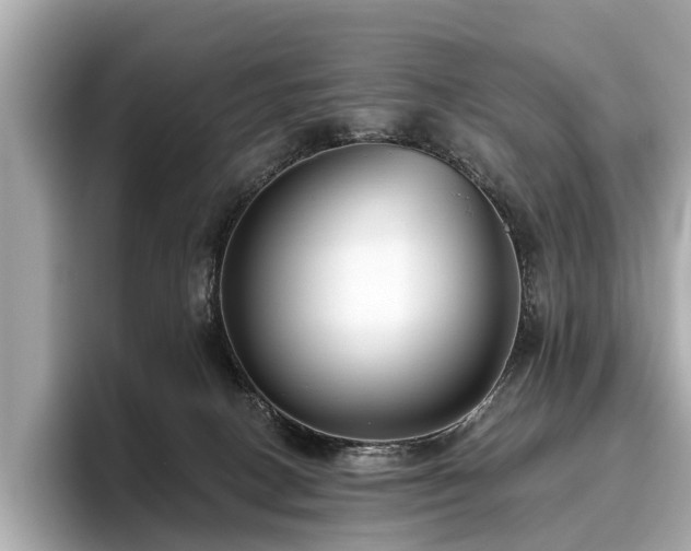 X0000096630082200802051116