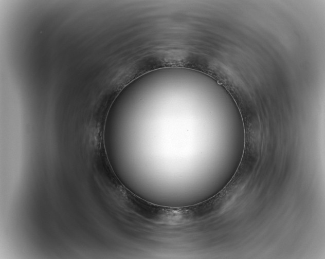 X0000096630083200802051116