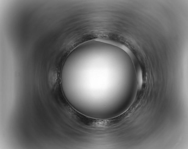 X0000096630084200802051116