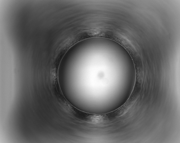 X0000096630085200802051116