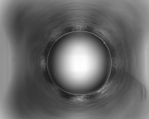 X0000096630086200802051116