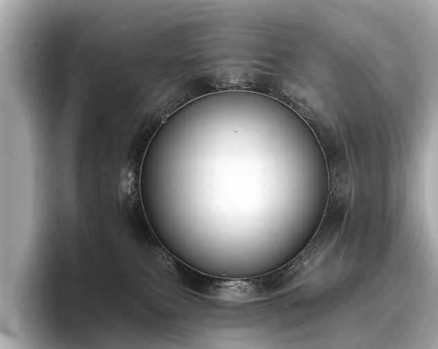 X0000096630087200802051116