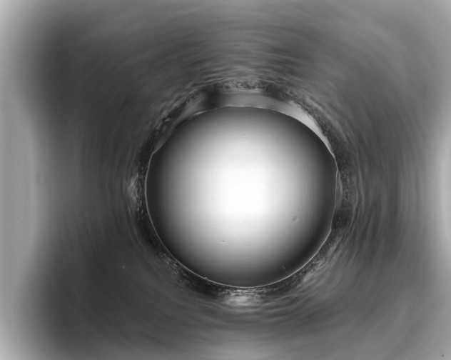 X0000096630088200802051116