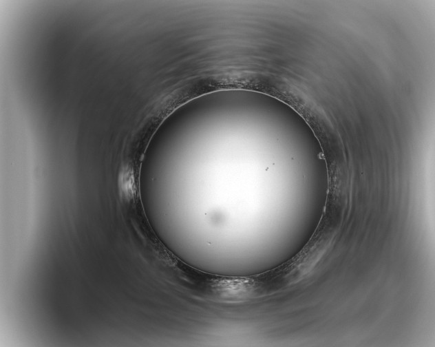 X0000096630089200802051116